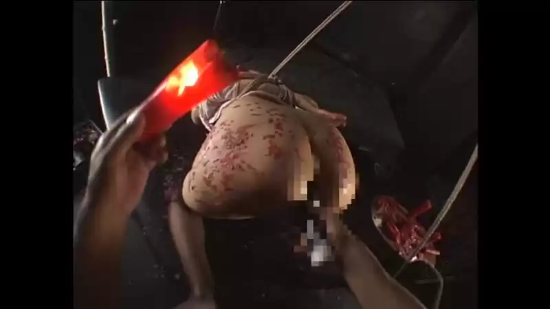 超淫乱美乳愛奴 安寿レイナ