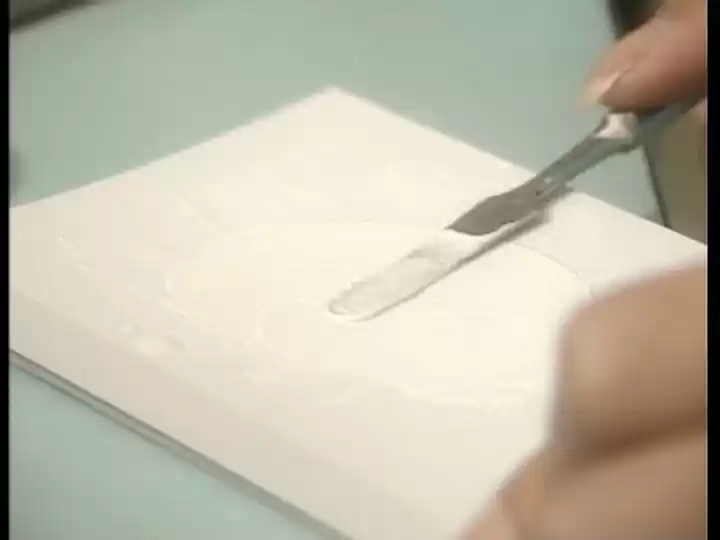 夏目雅美改造計画