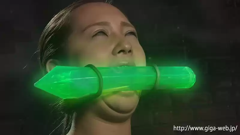 女幹部純愛物語