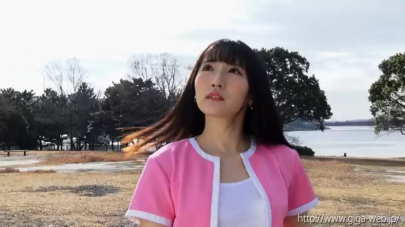 磁力戦隊マグナマン 狙われたマグナピンクとマグナイエロー ～マグナハンター開発計画～