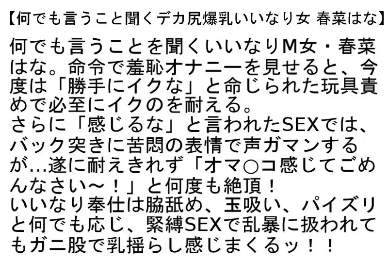 【お得セット】何でも言うこと聞くデカ尻爆乳いいなり女・爆乳マゾ熟女緊縛調教・爆乳×緊縛×凌●