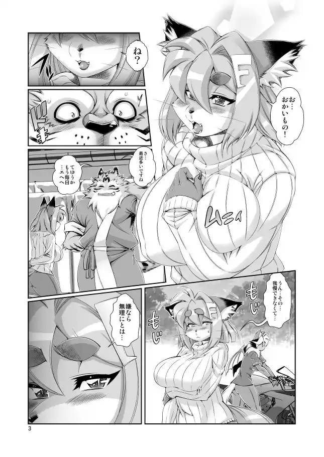 魔法の獣人フォクシィ・レナVol.12