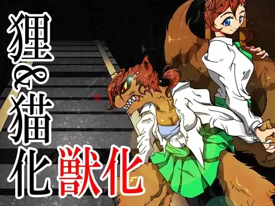 狸/猫 ねこぶんのたぬき