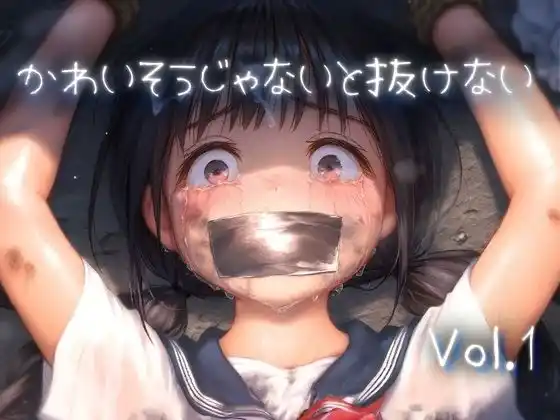 かわいそうじゃないと抜けない vol.1のパッケージ画像