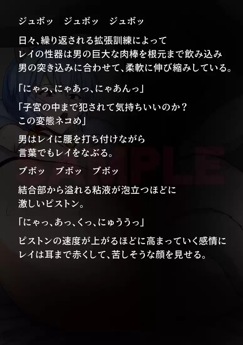 性隷少女 プラグイン編