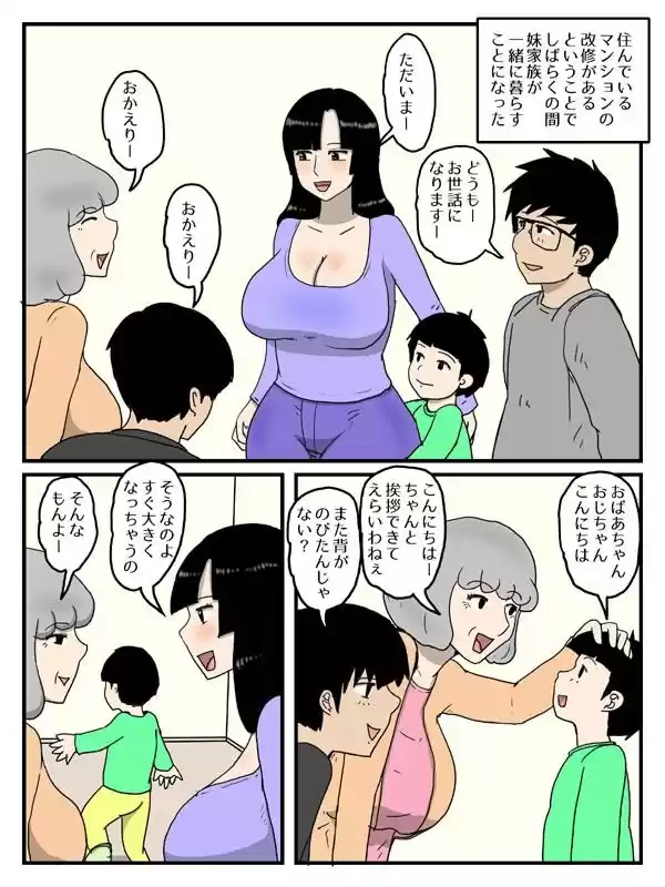 人妻で経産婦の妹が俺のオナホになった件1