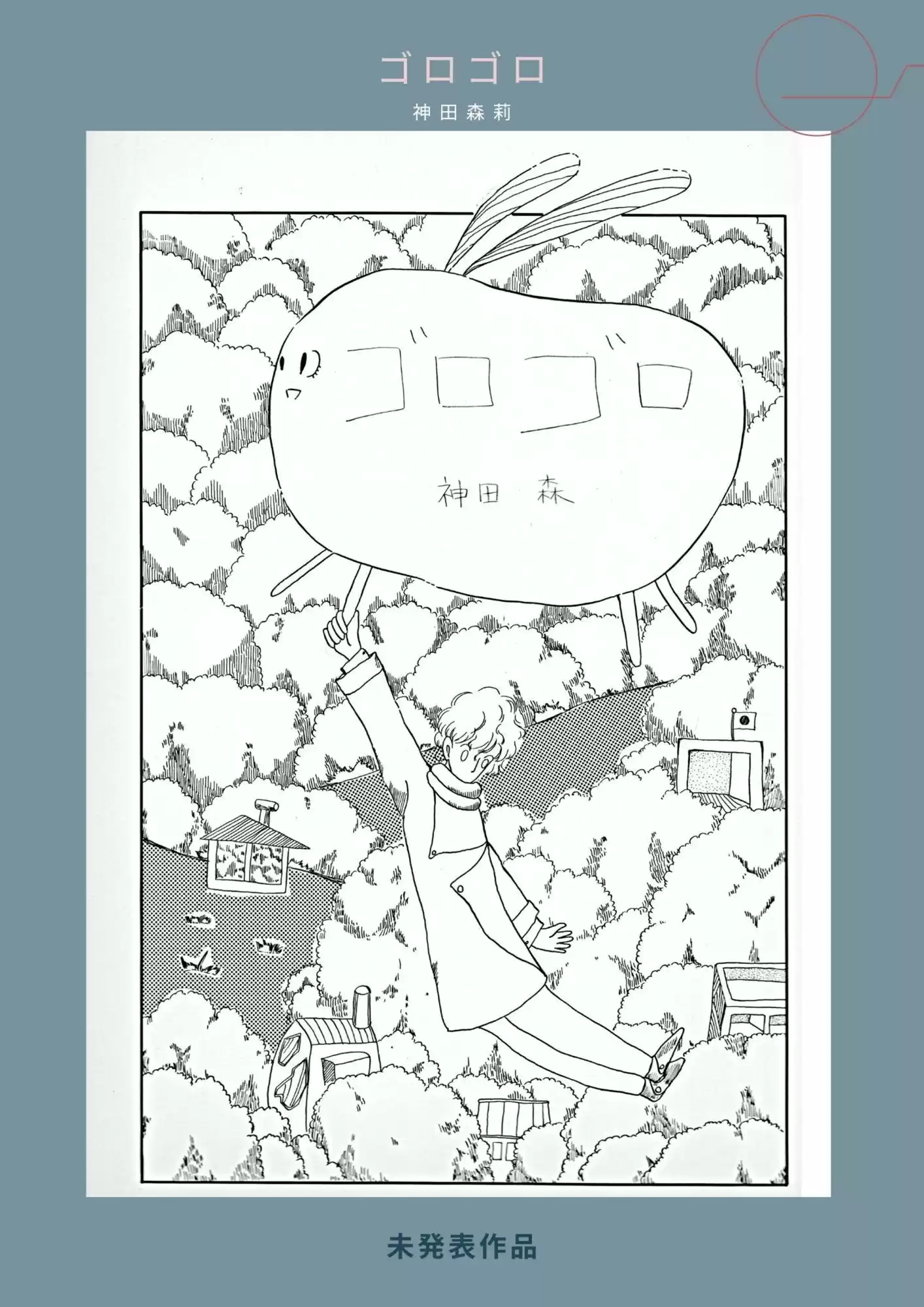 未発表作品『ゴロゴロ』1982年  -  神田森莉