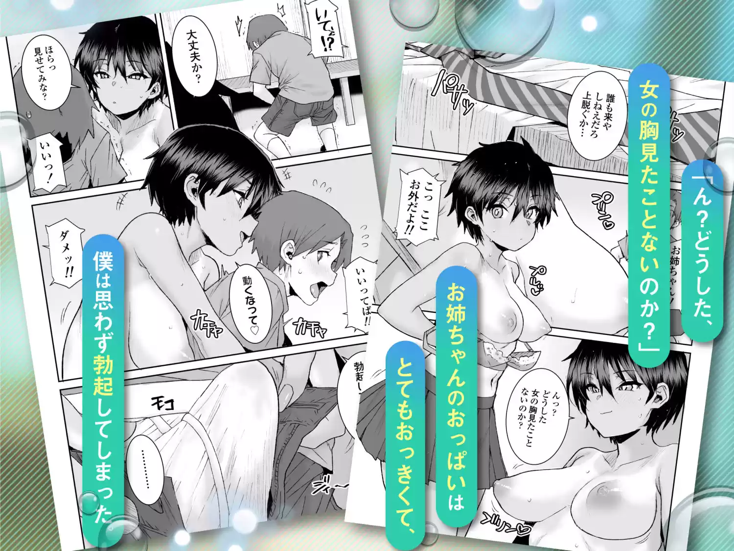 無口で気の強いボーイッシュなお姉ちゃんで僕は童貞を卒業しました