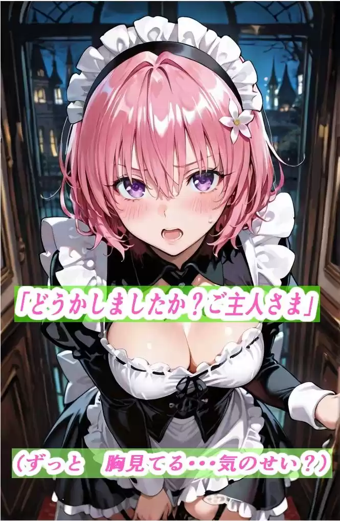 黒メイドの懺悔 ― ご主人様専用肉便器 ― モモ・ベ〇ア・デビルーク編
