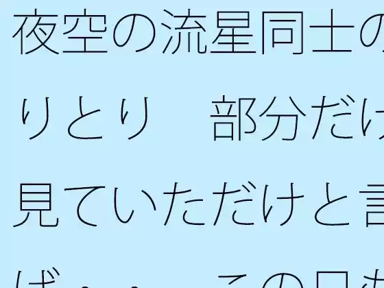 夜空の流星同士のやりとり  部分だけを見ていただけと言えば・・  この日もポケットに携えて