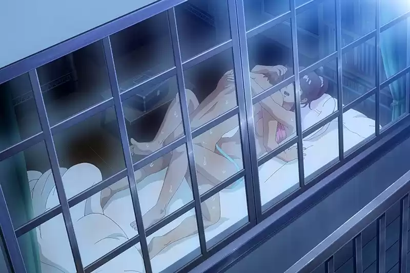 君が好き。THE ANIMATION 第2巻