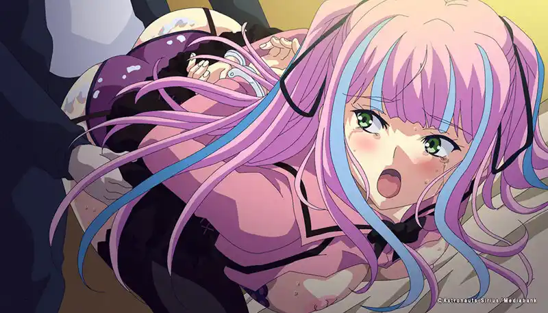 極限痴●特異点3 The Animation 宝生りみか 編