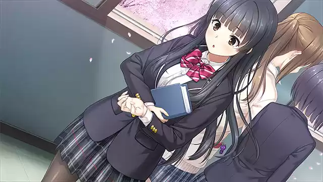 フルキスS