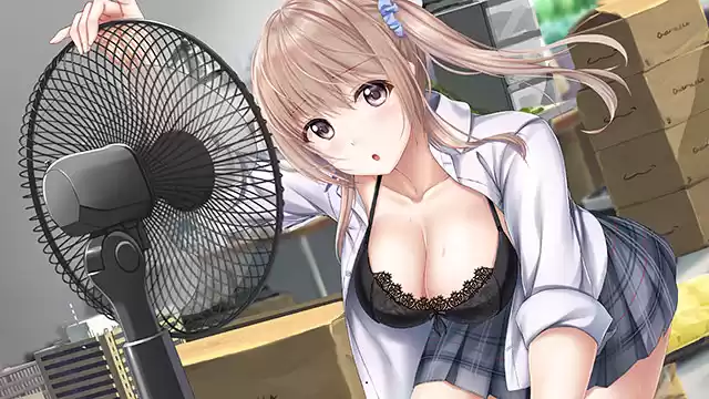 アイキス1＋2パック