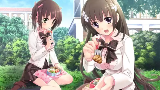 義妹だからできること、妹じゃないとダメなこと。