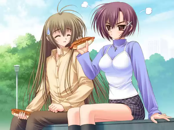 処女はお姉さまに恋してる 普及版