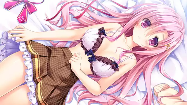 もののあはれは彩の頃。 普及版