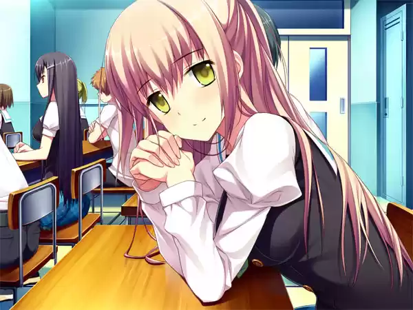 【期間限定】rootnukoコンプリートセット