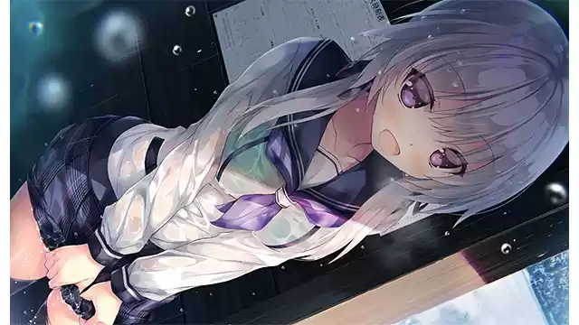 スタディ§ステディ1＋2パック