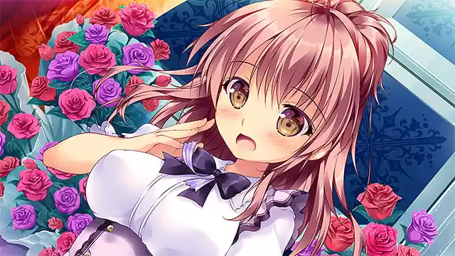 プリンセス☆シスターズ！ 〜四姉妹は全員あなたの許嫁〜