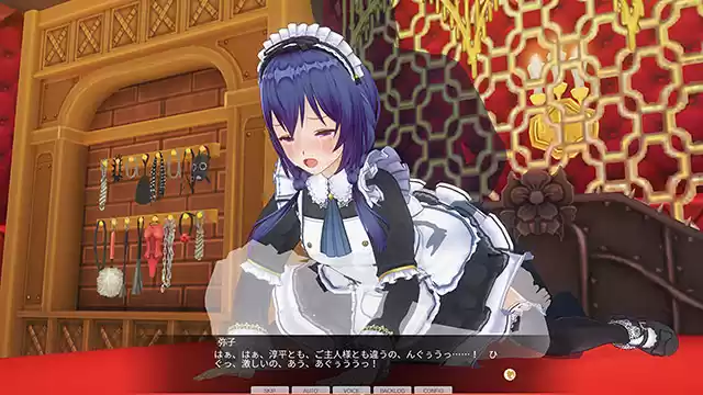 カスタムオーダーメイド3D2 キャラクターパック 無口で甘えたがりな文学少女【夜伽＆Hイベント追加パック同梱版】