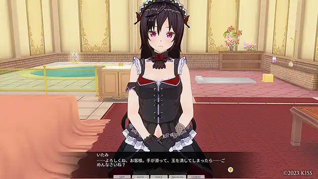 カスタムオーダーメイド3D2＆2.5 キャラクターパックGP対応版 M心を刺激する、ドS女王様
