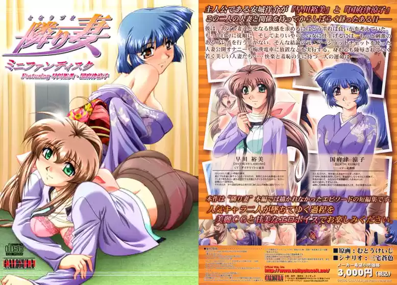 隣り妻 ミニファンディスク