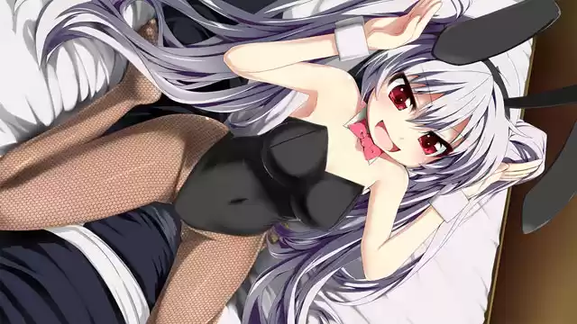 三極姫2 〜天地大乱・乱世に煌く新たな覇龍〜 ウルトラデラックス版【本編＋遊戯強化版＋遊戯強化版弐】（ダウンロード専用）