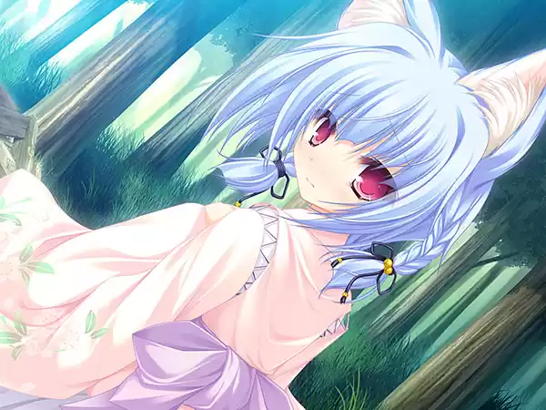 ねこ☆こい！ 〜猫神さまとネコミミのたたり〜