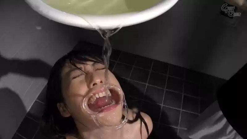 変態公衆便所タンツボ肉便器女 桃瀬ゆり