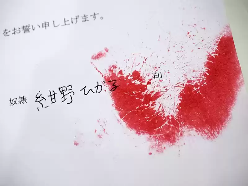 奴●誓約書 紺野ひかる