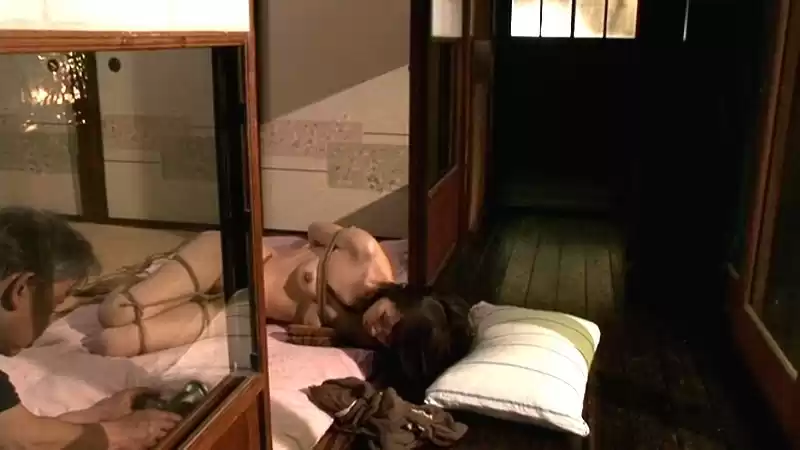 雪村春樹全集 13 ひなためぐ