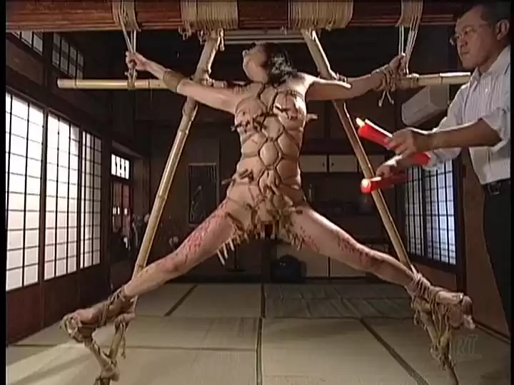 性獣図鑑オムニバス 3