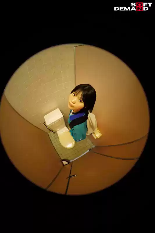 SNSで出会ったクズ男にハマった結果、公衆トイレでさくっとヌくための肉おナホ要員にされた18歳の記録映像。最終的に都合のいいように扱われ続けて涙目になるまでマワしつくされる。 寺川ねね