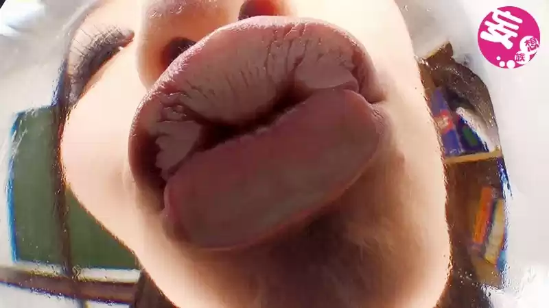 バーチャルベロキス 2