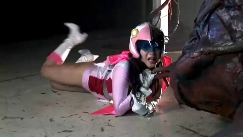 未来忍者隊ファイバード スワンファイター