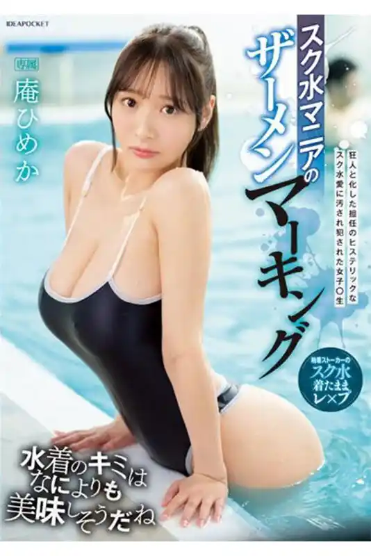 庵ひめか16時間 4枚組 IDEAPOCKET PERFECT BEST