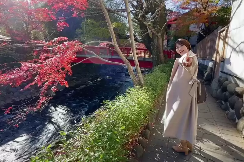 いつでもどこでも人妻オナホ したがり温泉旅行 那賀崎ゆきね
