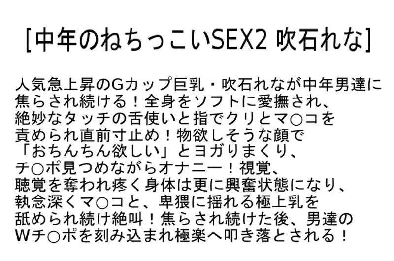 【お得セット】ねちっこいSEX・禁欲10日目の媚薬・センズリ完全サポート 吹石れな