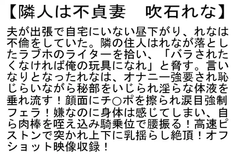 【お得セット】隣人は不貞妻・コスビッチ3SEX2・吹石れな絶対骨ヌキ3SEX（職業別）