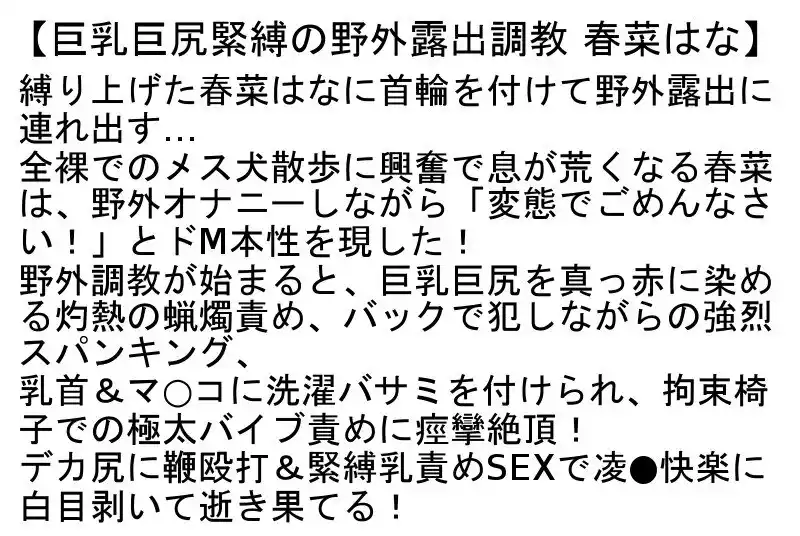 【お得セット】ワケあり奴●嫁・寝取られ温泉・巨乳巨尻緊縛の野外露出調教