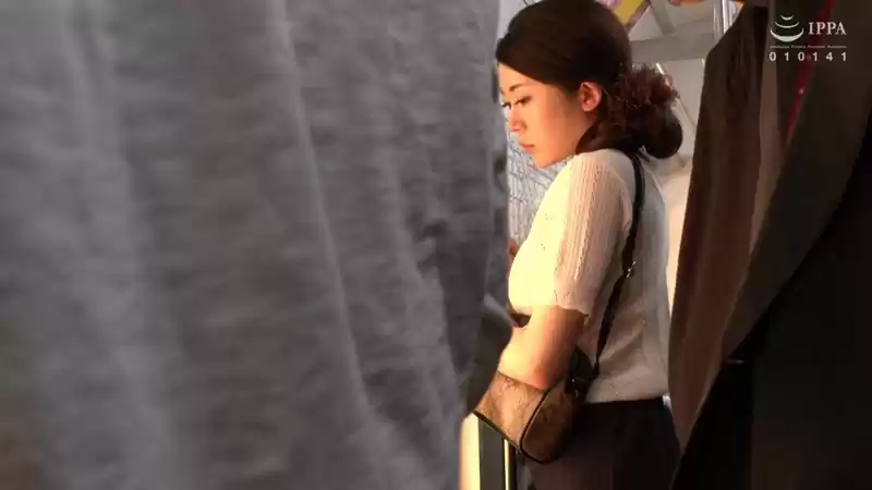 淫肉痴●電車 痴●集団に捧げられた人妻の肉体 目黒めぐみ